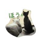 おにぎりとおむすび(文字)（個別スタンプ：9）