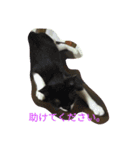おにぎりとおむすび(文字)（個別スタンプ：10）