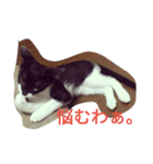 おにぎりとおむすび(文字)（個別スタンプ：12）