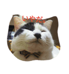 おにぎりとおむすび(文字)（個別スタンプ：14）