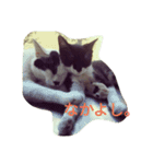 おにぎりとおむすび(文字)（個別スタンプ：16）