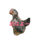 チャボ太郎（個別スタンプ：2）