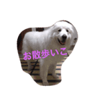 レオンくんとチョコたん（個別スタンプ：2）