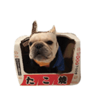 フレンチブルドッグのピギー（個別スタンプ：24）