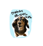 リクのスタンプ（個別スタンプ：12）