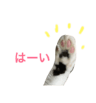 ♡キキちゃんのおへや♡（個別スタンプ：12）
