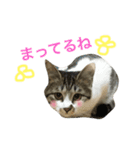 ♡キキちゃんのおへや♡（個別スタンプ：14）