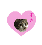 ♡キキちゃんのおへや♡（個別スタンプ：16）