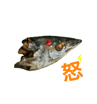 焼き魚（個別スタンプ：2）