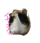 もるたろの逆襲（個別スタンプ：4）