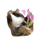 もるたろの逆襲（個別スタンプ：7）