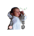 Xiao Baozhi Zhi Ying（個別スタンプ：11）