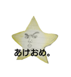 ほし〆的スタンプ/日常生活で使う用（個別スタンプ：5）