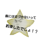 ほし〆的スタンプ/日常生活で使う用（個別スタンプ：13）