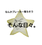 ほし〆的スタンプ/日常生活で使う用（個別スタンプ：15）