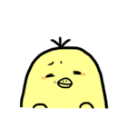 ぴ よ た（個別スタンプ：11）