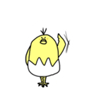 ぴ よ た（個別スタンプ：23）