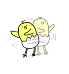 ぴ よ た（個別スタンプ：30）