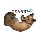 ぶさかわ犬【2】（個別スタンプ：14）