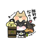 365日全力柴犬（個別スタンプ：36）