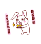 Out window rabbit（個別スタンプ：2）