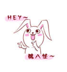 Out window rabbit（個別スタンプ：3）