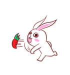 Out window rabbit（個別スタンプ：38）