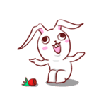 Out window rabbit（個別スタンプ：40）