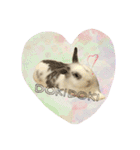フーちゃんスタンプよ（個別スタンプ：1）