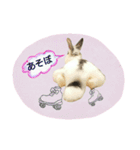 フーちゃんスタンプよ（個別スタンプ：3）