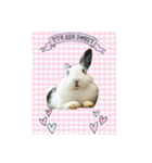 フーちゃんスタンプよ（個別スタンプ：4）