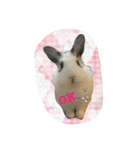 フーちゃんスタンプよ（個別スタンプ：6）