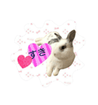 フーちゃんスタンプよ（個別スタンプ：8）