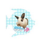フーちゃんスタンプよ（個別スタンプ：13）