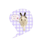 フーちゃんスタンプよ（個別スタンプ：14）
