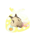 フーちゃんスタンプよ（個別スタンプ：15）