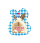 フーちゃんスタンプよ（個別スタンプ：17）