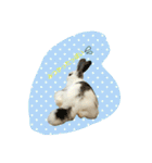 フーちゃんスタンプよ（個別スタンプ：23）
