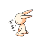 ネコかウサギか（個別スタンプ：11）