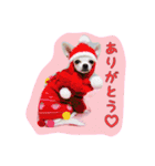 大好きないぬたちスタンプ（個別スタンプ：4）