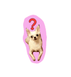 大好きないぬたちスタンプ（個別スタンプ：9）