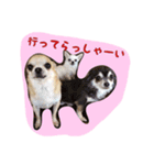 大好きないぬたちスタンプ（個別スタンプ：22）