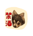 大好きないぬたちスタンプ（個別スタンプ：30）