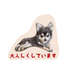 大好きないぬたちスタンプ（個別スタンプ：33）