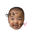 毎日あおば（個別スタンプ：31）