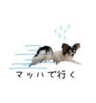 夜叉丸くん（個別スタンプ：3）