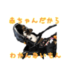 夜叉丸くん（個別スタンプ：4）