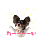 夜叉丸くん（個別スタンプ：5）