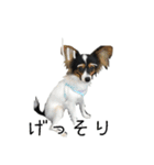 夜叉丸くん（個別スタンプ：7）