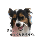 夜叉丸くん（個別スタンプ：8）